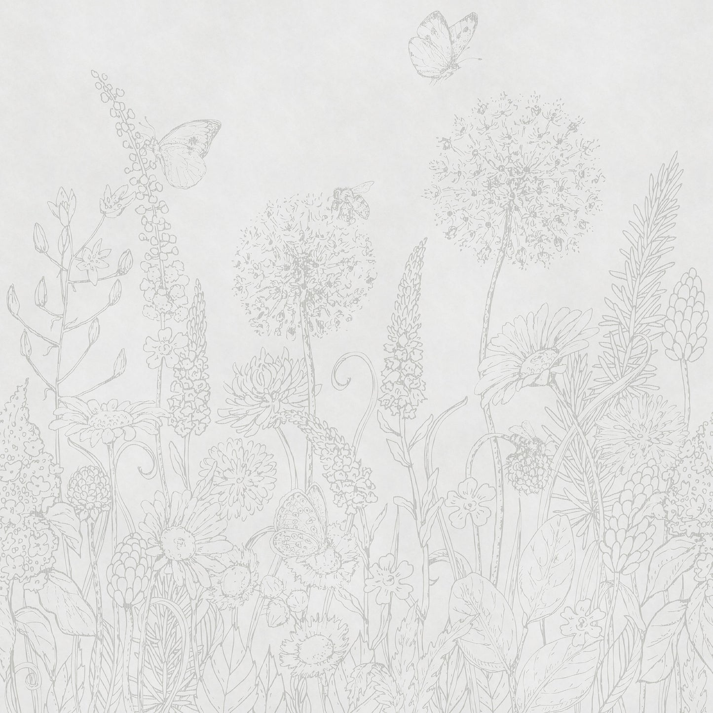 Dreamy Meadow White