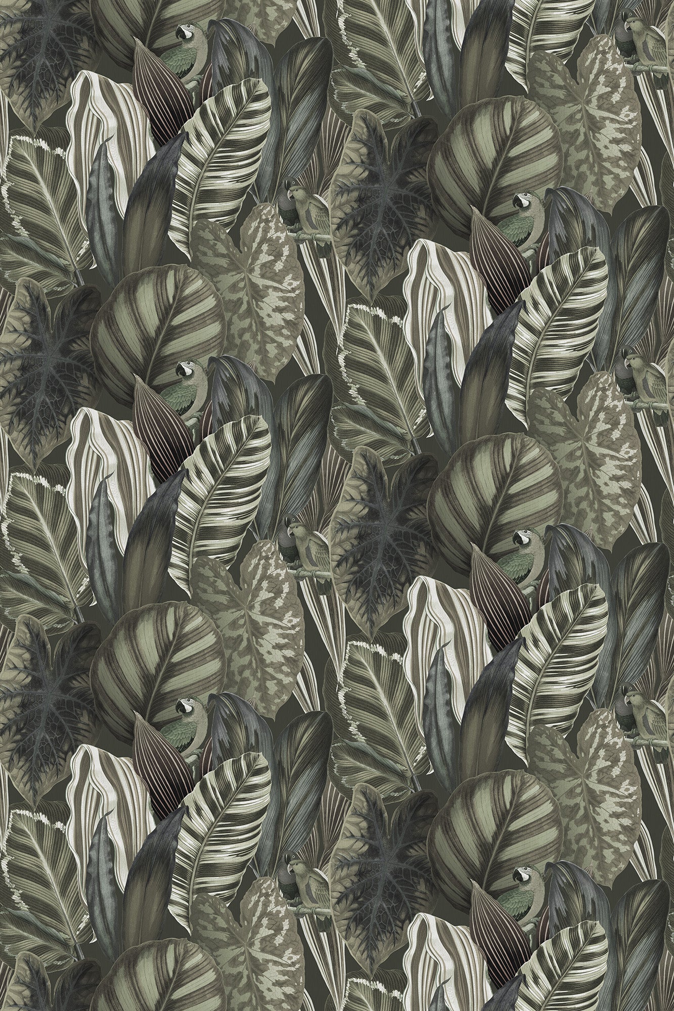 Tropical Leaves Green