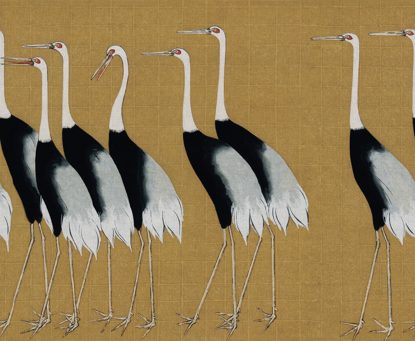 Japanese Cranes