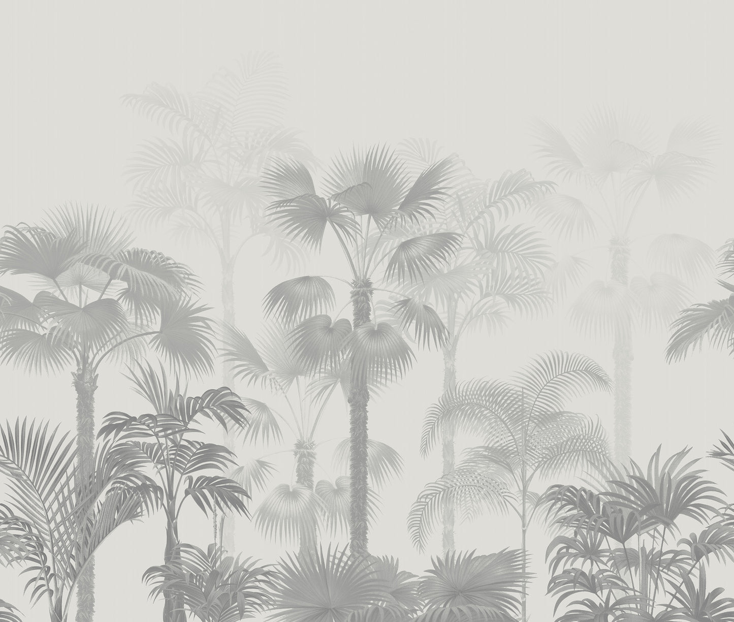 Jungle