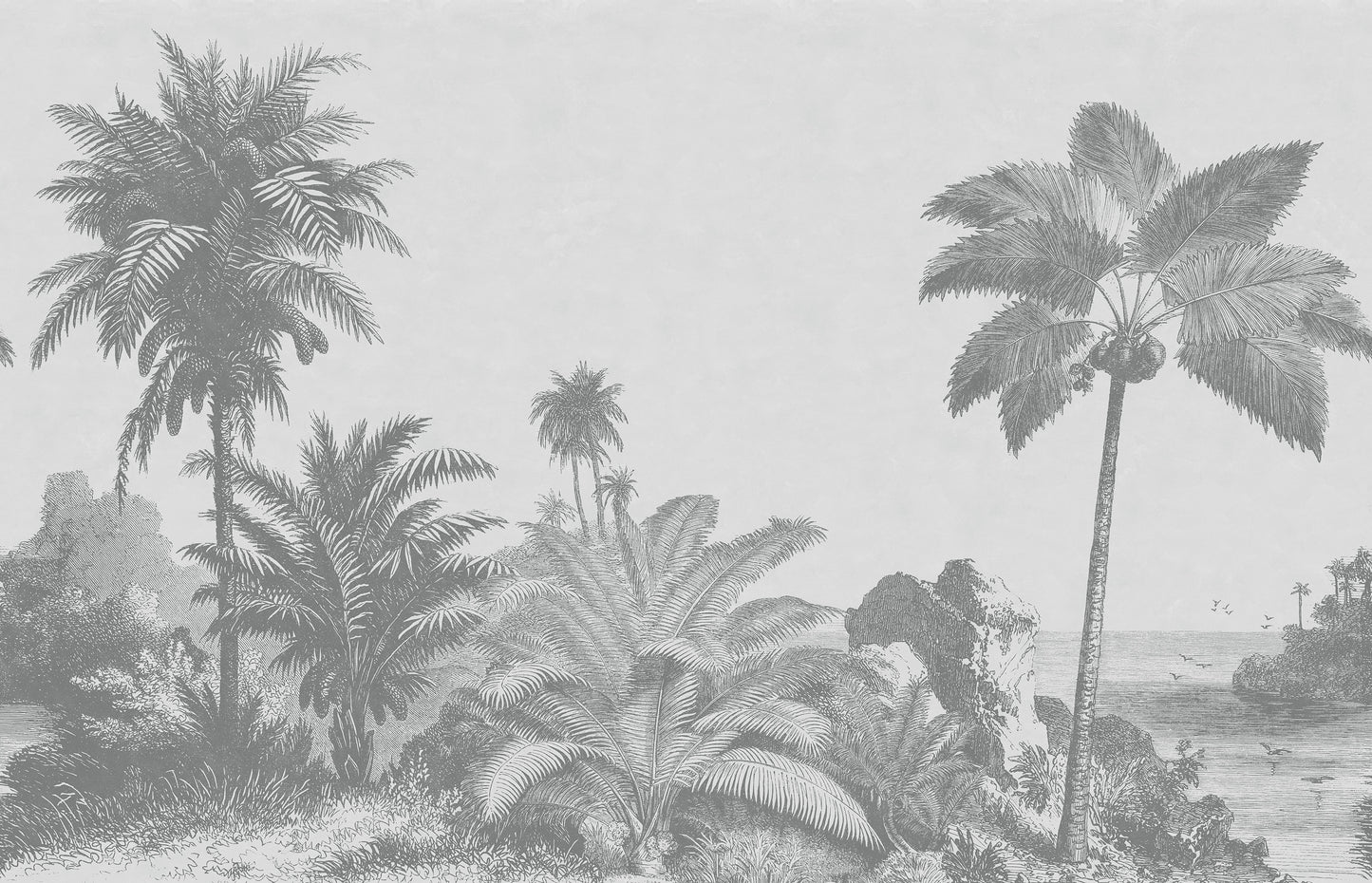 Tropical Landscape